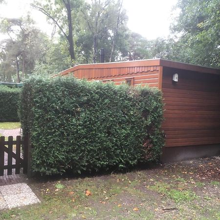 Cedar Cottage Veluwe Ermelo Exterior photo